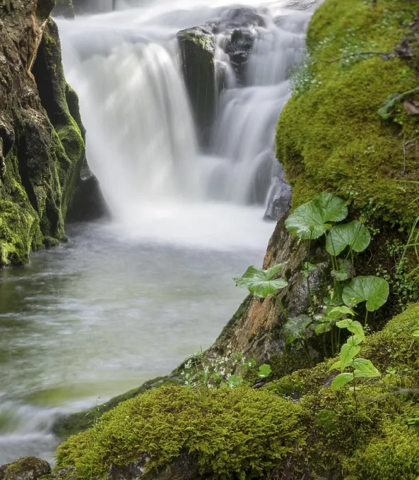Gerahmter Druck : Wasserfall, Bergfluss Stimitz Gerahmter Druck : Wasserfall, Bergfluss Stimitz
