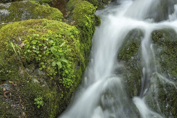 Gerahmter Druck : Wasserfall an einem Bergbach im Frühling. Gerahmter Druck : Wasserfall an einem Bergbach im Frühling.