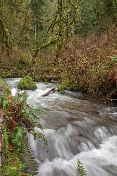 Gerahmter Druck : Wasserfall in Oregon. Gerahmter Druck : Wasserfall in Oregon.