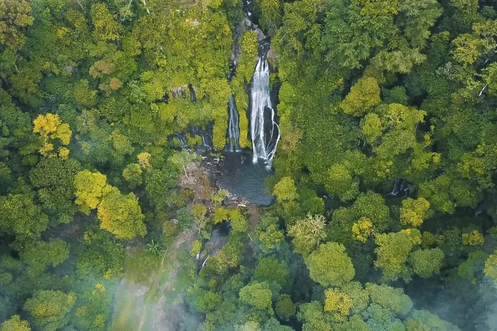 Gerahmter Druck : Wasserfall in der Regenwald. Blick von oben. Gerahmter Druck : Wasserfall in der Regenwald. Blick von oben.