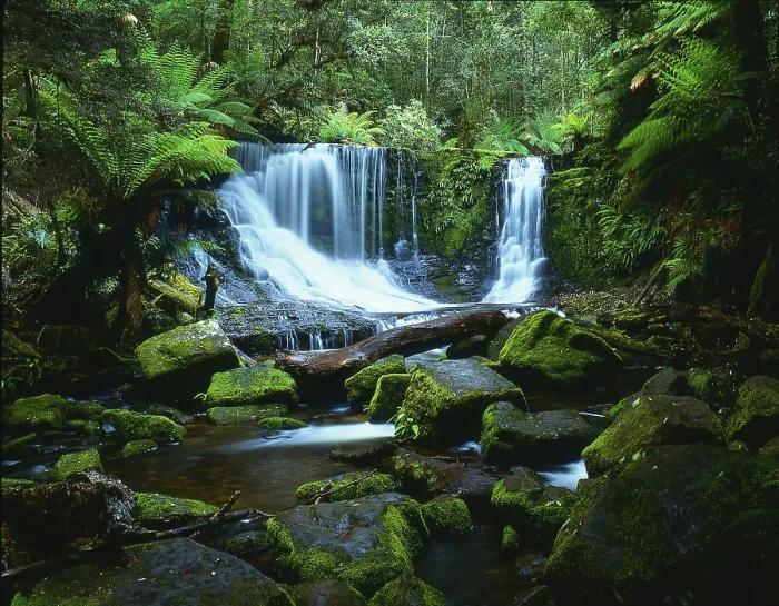 Gerahmter Druck : Wasserfall im Regenwald, Horseshoe Fall Gerahmter Druck : Wasserfall im Regenwald, Horseshoe Fall