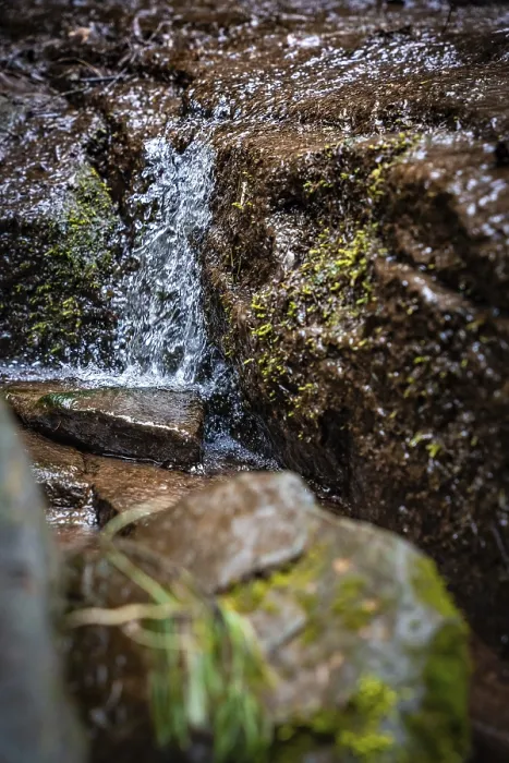 Gerahmter Druck : Wasserfall eines kleinen Baches im Wald. Gerahmter Druck : Wasserfall eines kleinen Baches im Wald.
