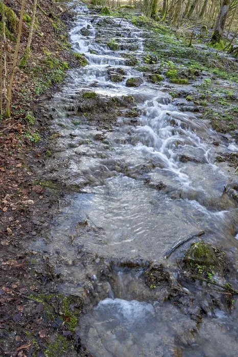 Gerahmter Druck : Bachfälle im Frühling. Gerahmter Druck : Bachfälle im Frühling.
