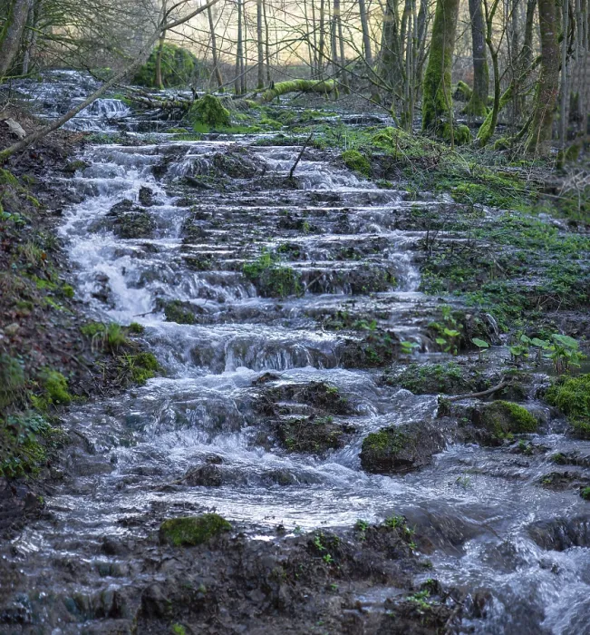 Gerahmter Druck : Bachfall in der Frühling. Gerahmter Druck : Bachfall in der Frühling.