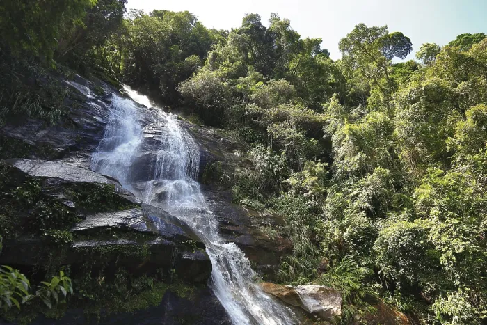Gerahmter Druck : Wasserfall im Tijuca-Regenwald. Gerahmter Druck : Wasserfall im Tijuca-Regenwald.