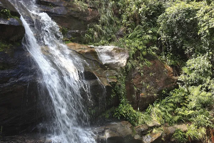 Gerahmter Druck : Wasserfall im Tijuca-Regenwald. Gerahmter Druck : Wasserfall im Tijuca-Regenwald.