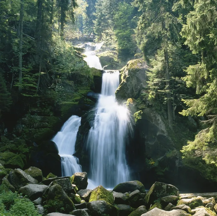 Gerahmter Druck : Wasserfall, Triberg, Schwarzwald Gerahmter Druck : Wasserfall, Triberg, Schwarzwald