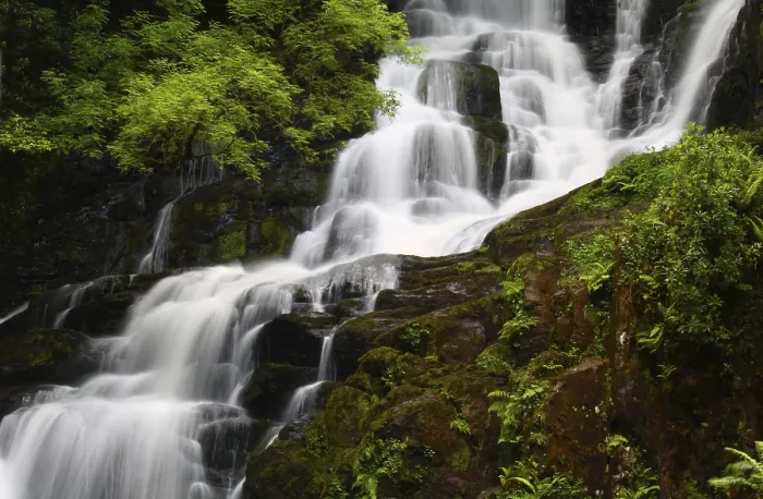 Gerahmter Druck : Wasserfälle im Wald. Gerahmter Druck : Wasserfälle im Wald.