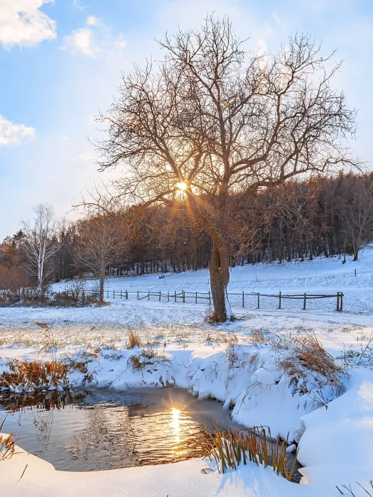 Gerahmter Druck : Wasserloch in einer schneeverwehten Landschaft. Gerahmter Druck : Wasserloch in einer schneeverwehten Landschaft.