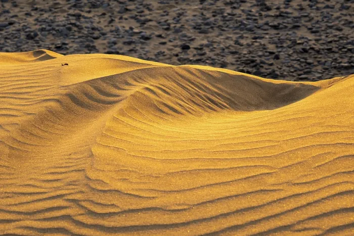 Gerahmter Druck : Wellenmuster, Sanddünen von Maspalomas Gerahmter Druck : Wellenmuster, Sanddünen von Maspalomas