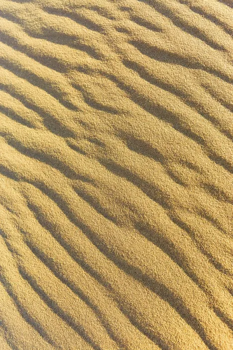 Gerahmter Druck : Wellenmuster im Sand, Namib-Wüste, Namibia. Gerahmter Druck : Wellenmuster im Sand, Namib-Wüste, Namibia.