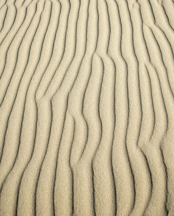 Gerahmter Druck : Wellenmuster in leuchtendem Sand, Sandfly Bay Gerahmter Druck : Wellenmuster in leuchtendem Sand, Sandfly Bay