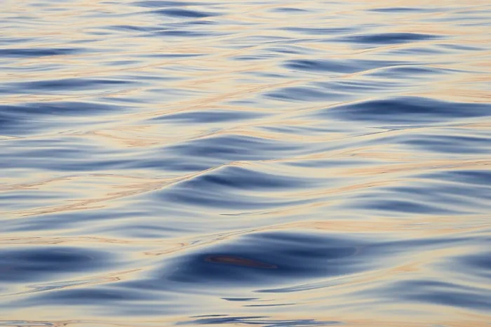Gerahmter Druck : Wellen im Abendlicht, Meer. Gerahmter Druck : Wellen im Abendlicht, Meer.