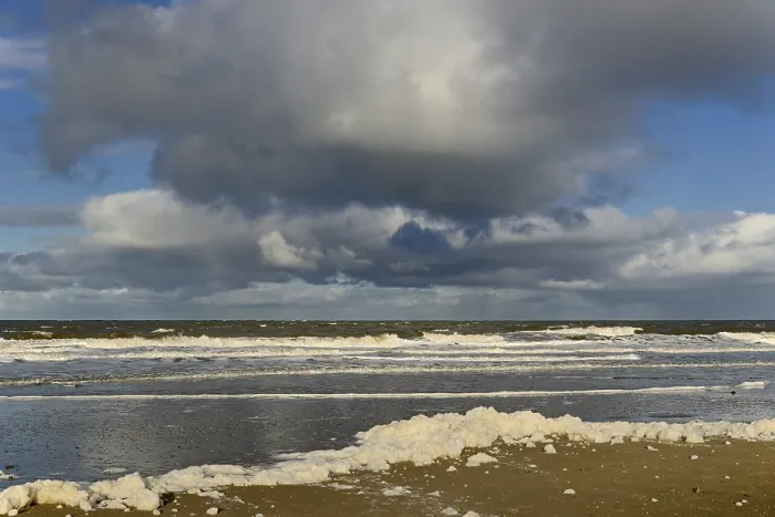 Gerahmter Druck : Wellen auf einem sandigen Strand mit Schaumbildung. Gerahmter Druck : Wellen auf einem sandigen Strand mit Schaumbildung.