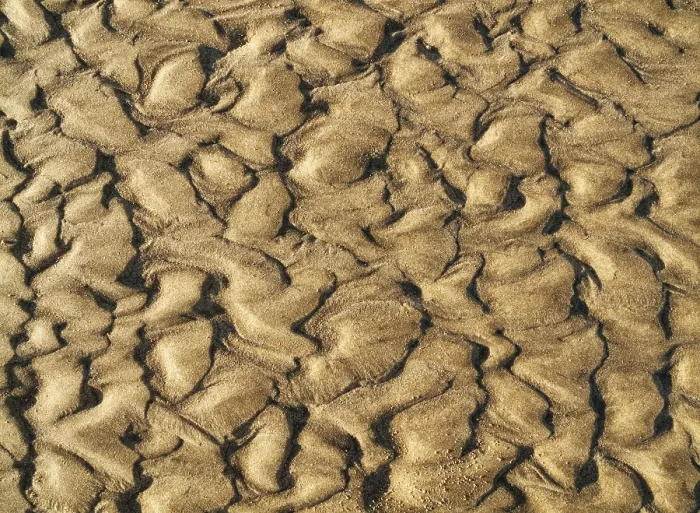 Gerahmter Druck : Wellenmuster im Sand der Bucht. Gerahmter Druck : Wellenmuster im Sand der Bucht.