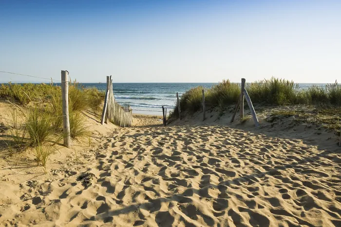 Gerahmter Druck : Durch die Dünen zum Strand. Gerahmter Druck : Durch die Dünen zum Strand.