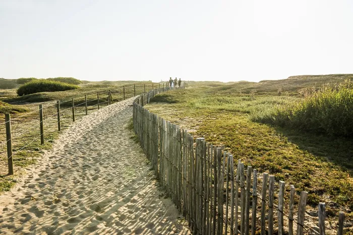 Gerahmter Druck : Durch die Dünen zum Strand. Gerahmter Druck : Durch die Dünen zum Strand.