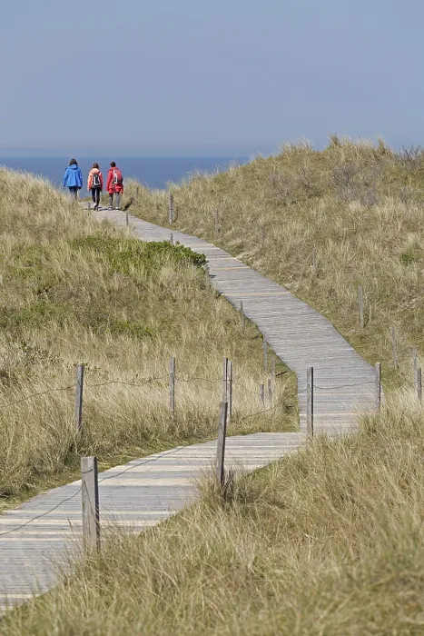 Gerahmter Druck : Weg durch die Dünen zum Strand. Gerahmter Druck : Weg durch die Dünen zum Strand.