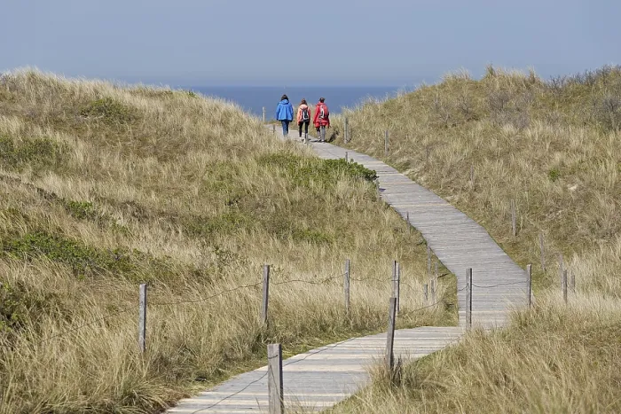 Gerahmter Druck : Weg durch die Dünen zum Strand. Gerahmter Druck : Weg durch die Dünen zum Strand.