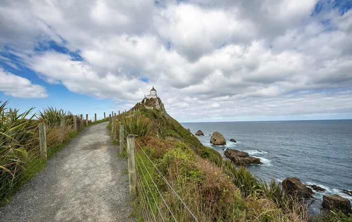 Gerahmter Druck : Weg zum Leuchtturm von Nugget Point. Gerahmter Druck : Weg zum Leuchtturm von Nugget Point.