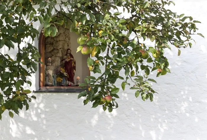 Gerahmter Druck : Wegekapelle, Fenster, Apfelbaum. Gerahmter Druck : Wegekapelle, Fenster, Apfelbaum.