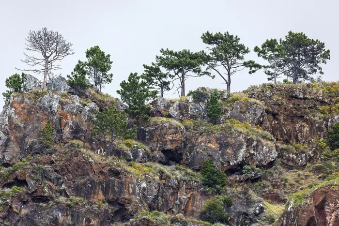 Gerahmter Druck : Verwitterte Lavafelsen an den Klippen Gerahmter Druck : Verwitterte Lavafelsen an den Klippen