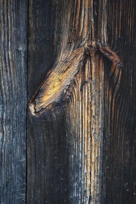 Gerahmter Druck : Verwitterter Holz. Gerahmter Druck : Verwitterter Holz.