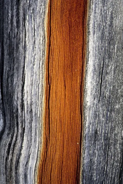 Gerahmter Druck : Verwitterter Holz. Gerahmter Druck : Verwitterter Holz.