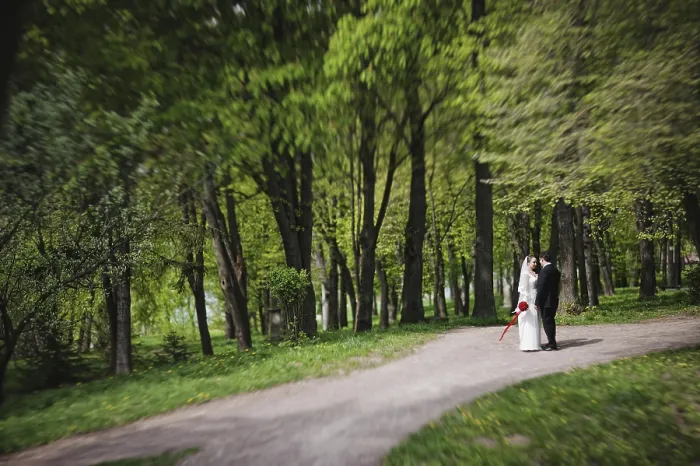 Gerahmter Druck : Ehepaar im Wald. Tilt-Shift-Effekt. Gerahmter Druck : Ehepaar im Wald. Tilt-Shift-Effekt.