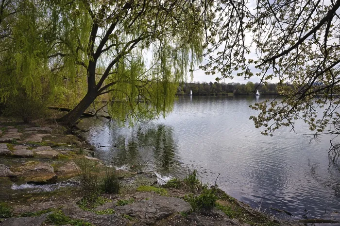 Gerahmter Druck : Weinweile, Ufer, Max-Eyth-See Gerahmter Druck : Weinweile, Ufer, Max-Eyth-See