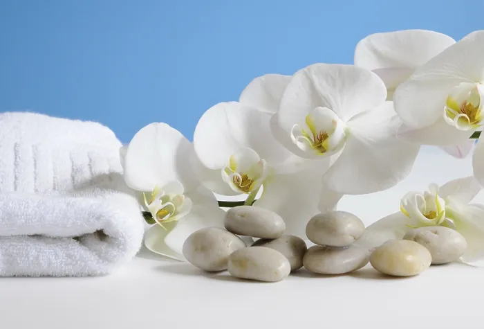 Gerahmter Druck : Wellness Gerahmter Druck : Wellness