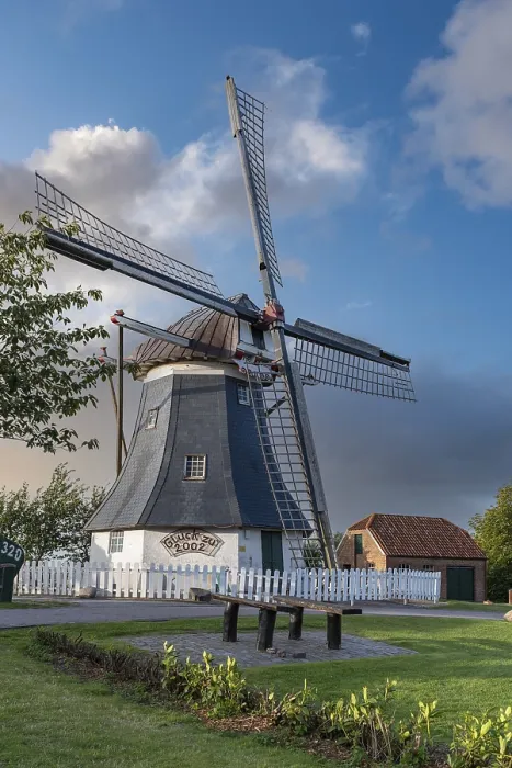 Gerahmter Druck : Werdumer Mühle, Erdholländer Gerahmter Druck : Werdumer Mühle, Erdholländer