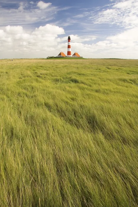 Gerahmter Druck : Leuchtturm Westerhever, Eiderstedt Gerahmter Druck : Leuchtturm Westerhever, Eiderstedt