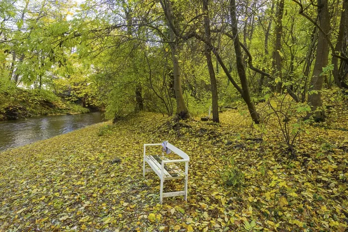 Gerahmter Druck : Weißer Sitz auf der herbstlichen Triesting. Gerahmter Druck : Weißer Sitz auf der herbstlichen Triesting.