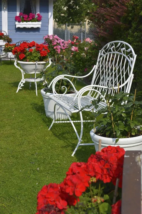 Gerahmter Druck : Weißer Bank im Garten. Gerahmter Druck : Weißer Bank im Garten.