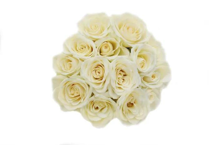 Gerahmter Druck : Weißer Rosenstrauß Gerahmter Druck : Weißer Rosenstrauß