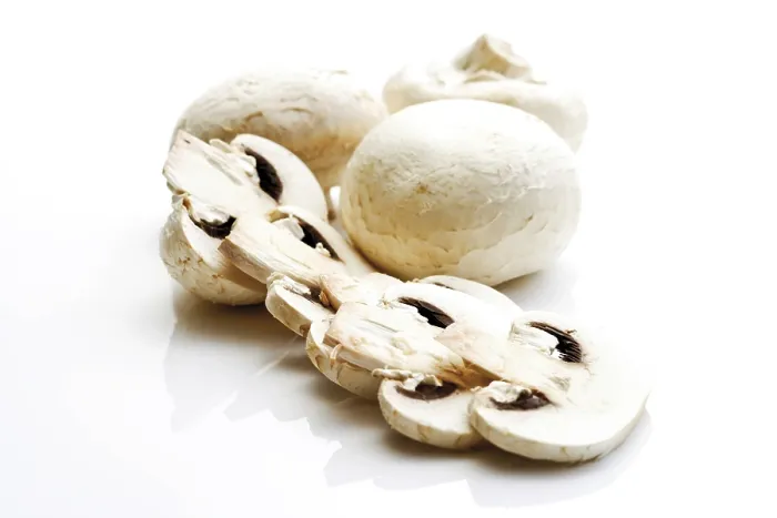 Gerahmter Druck : Weißer Knoblauchpilz Gerahmter Druck : Weißer Knoblauchpilz
