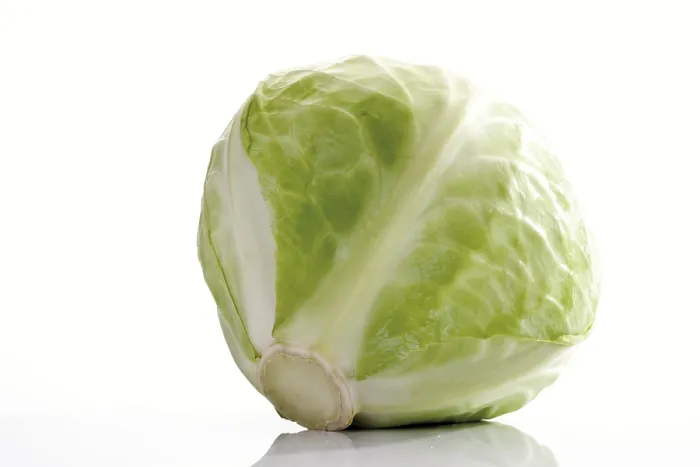 Gerahmter Druck : Weißkohl Gerahmter Druck : Weißkohl