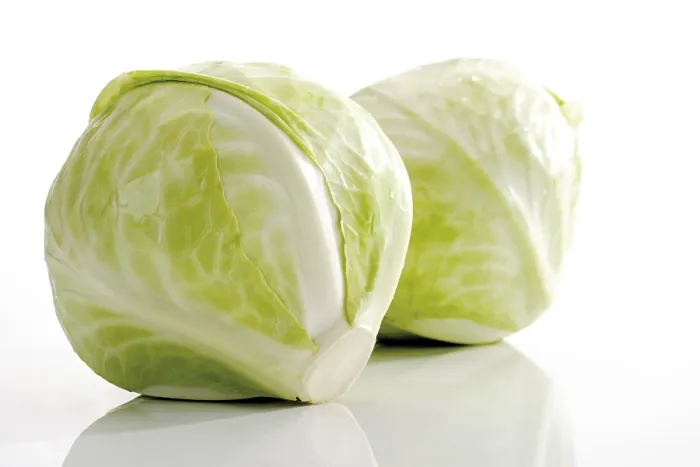 Gerahmter Druck : Weißkohl, zwei Köpfe. Gerahmter Druck : Weißkohl, zwei Köpfe.