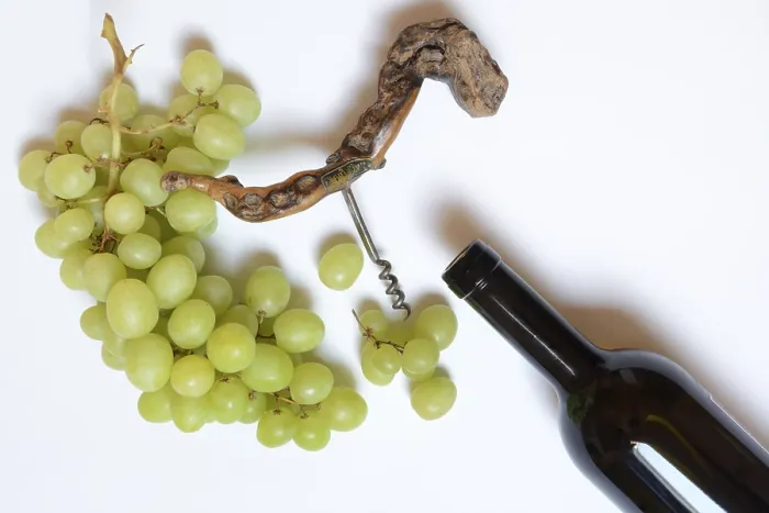 Gerahmter Druck : Weißweinrebe (Vitis vinifera) Gerahmter Druck : Weißweinrebe (Vitis vinifera)