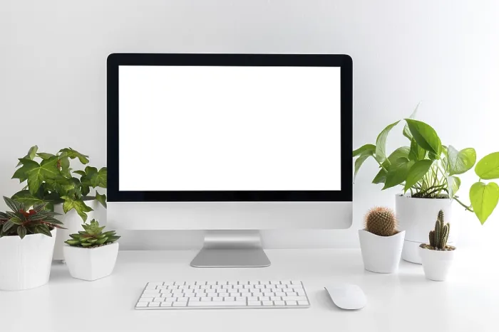 Gerahmter Druck : Weißer moderner Desktop mit Computer und Pflanzen. Gerahmter Druck : Weißer moderner Desktop mit Computer und Pflanzen.