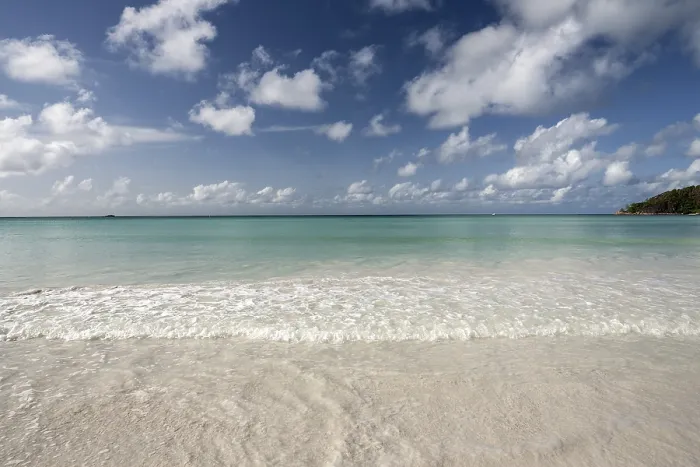 Gerahmter Druck : Weiße Sandstrand Anse Volbert Gerahmter Druck : Weiße Sandstrand Anse Volbert