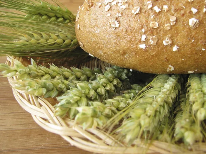 Gerahmter Druck : Vollkornbrot und Haferflocken Gerahmter Druck : Vollkornbrot und Haferflocken