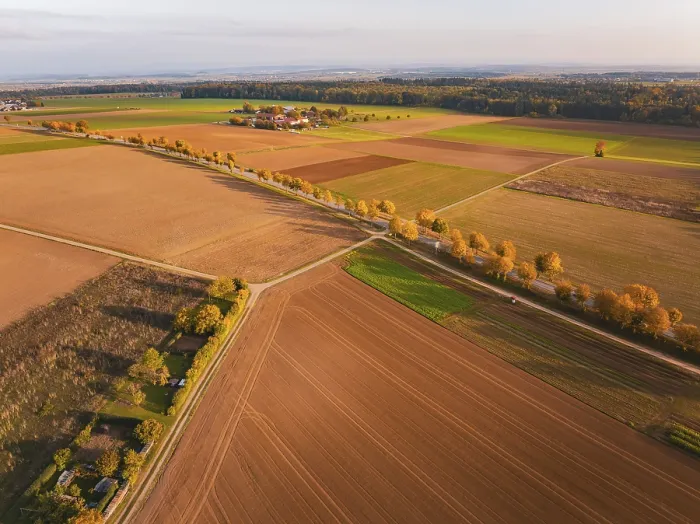 Gerahmter Druck : Breite Felder mit Herbstbäumen und ein Pfad durch eine Landschaft. Gerahmter Druck : Breite Felder mit Herbstbäumen und ein Pfad durch eine Landschaft.
