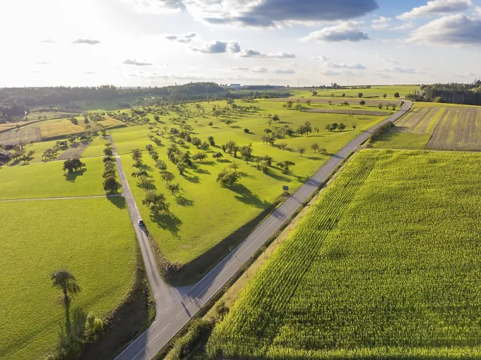 Gerahmter Druck : Breite grüne Landschaft mit Äckern. Gerahmter Druck : Breite grüne Landschaft mit Äckern.