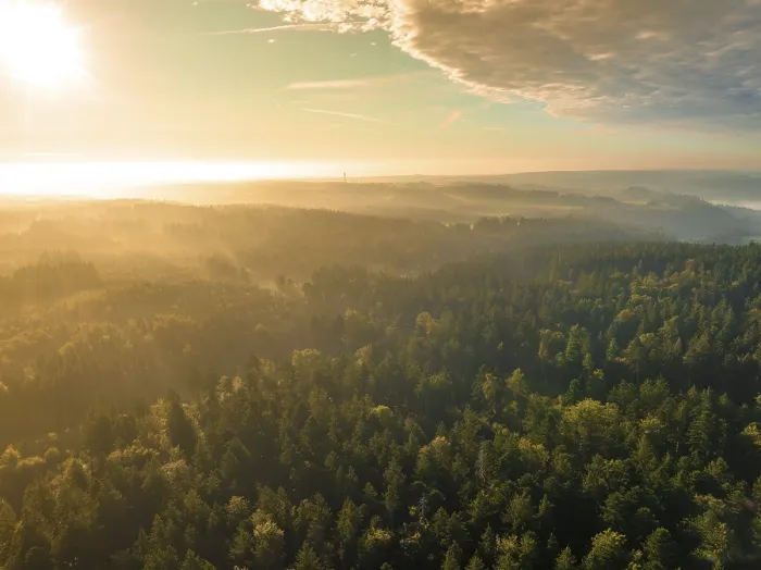 Gerahmter Druck : Breiter Blick über Wälder bei Sonnenuntergang.