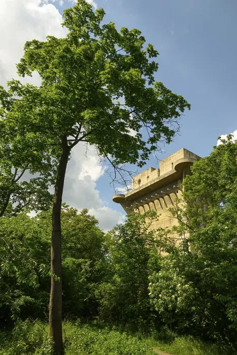 Gerahmter Druck : Wiener Augarten, Gartenkomplex Gerahmter Druck : Wiener Augarten, Gartenkomplex