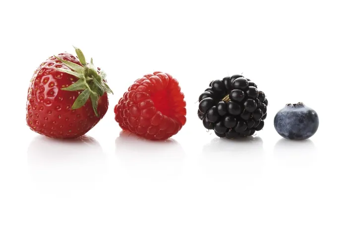 Gerahmter Druck : Wildbeeren, Himbeere, Brombeere Gerahmter Druck : Wildbeeren, Himbeere, Brombeere