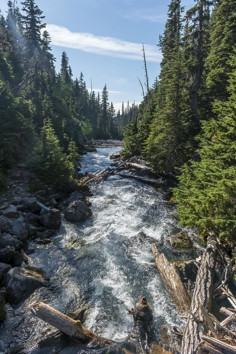 Gerahmter Druck : Wilder Fluss umgeben von Wald Gerahmter Druck : Wilder Fluss umgeben von Wald