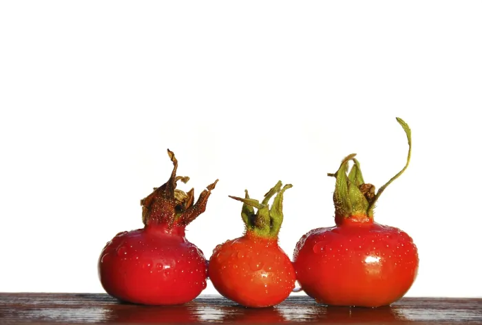 Gerahmter Druck : Drei wilde Rosenbeeren. Gerahmter Druck : Drei wilde Rosenbeeren.